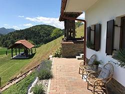 Domačija Artišek 1